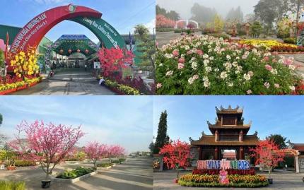 Top 11 Địa Điểm Du Lịch Đồng Tháp Đẹp Không Thể Bỏ Lỡ!