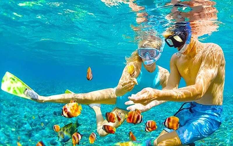 Lặn ngắm san hô tại Quần đảo Nam Du