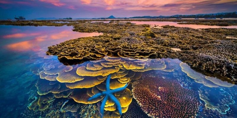 Thiên nhiên kỳ ảo tại Hòn Yến - Phú Yên