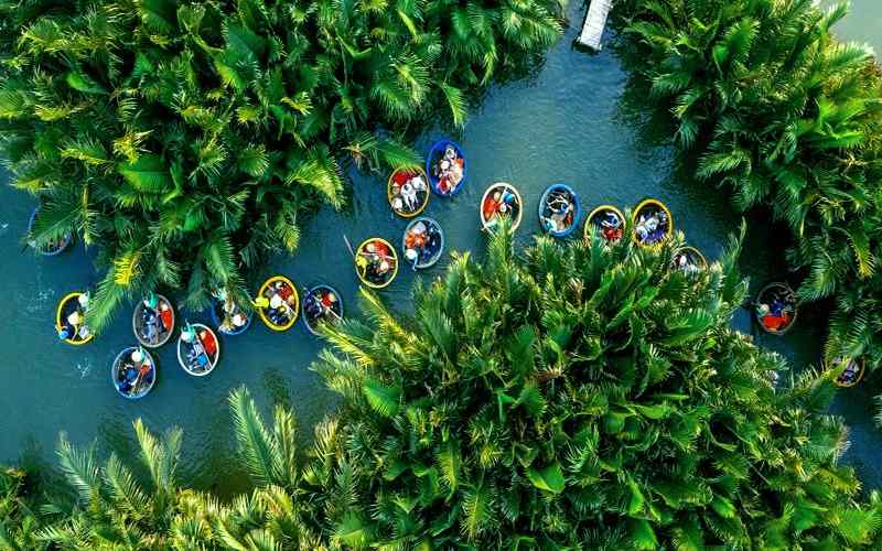 Rừng dừa Bảy Mẫu là mê cung của những con rạch dừa nước xanh mát.