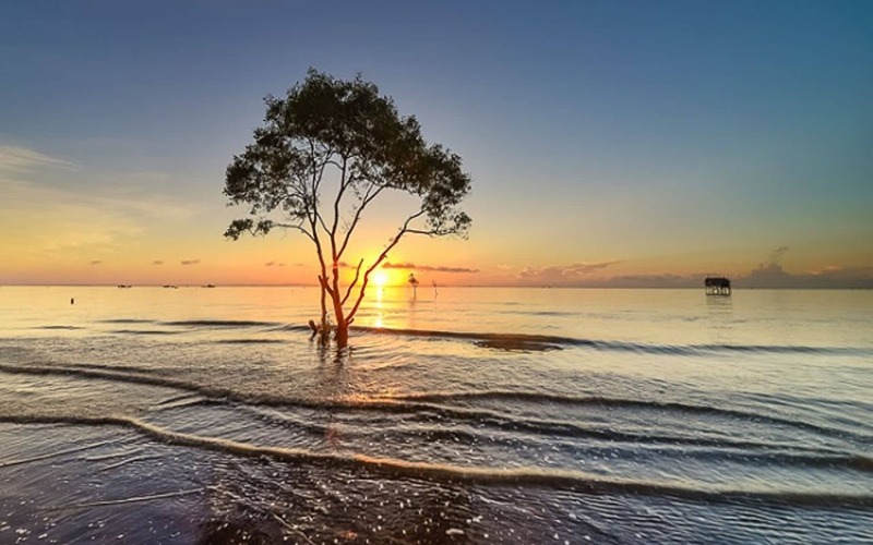 Biển Tân Thành là chốn hoang sơ với bãi cát đen mịn màng