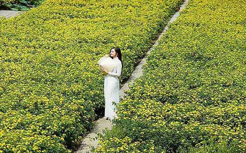 Vườn hoa Mãn Đình Hồng các loài hoa đua nhau khoe sắc.