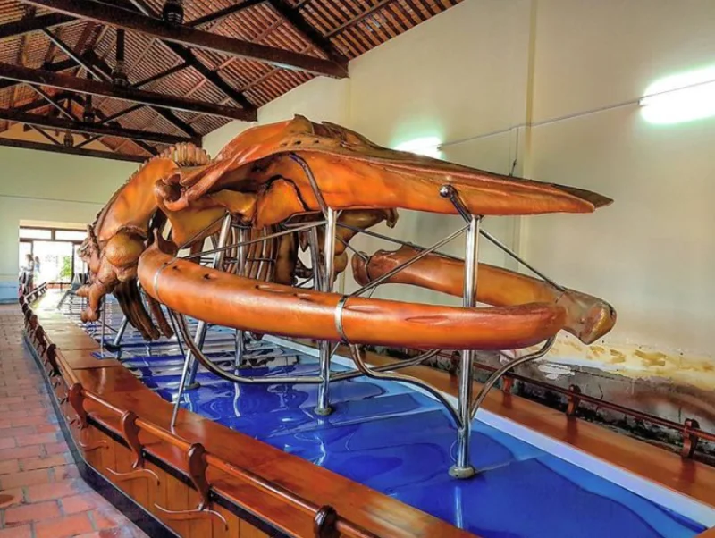 Đình Vạn Thủy Tú