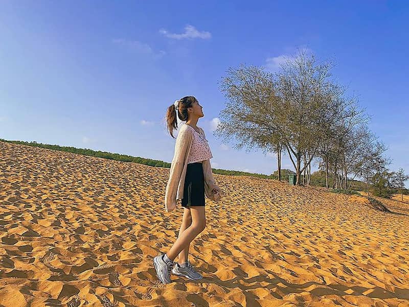 Du khách tham quan đồi hồng vào sáng sớm hay chiều tà để bắt trọn vẻ đẹp