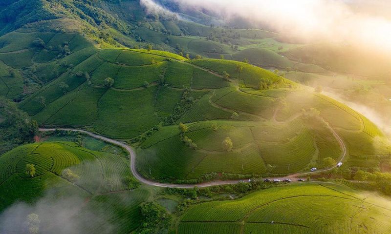 Đồi chè Long Cốc là địa danh có cảnh sắc tuyệt đẹp