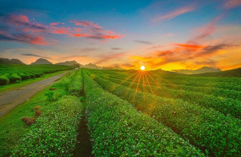 Du khách nên xem dự báo thời tiết trước khi đi để tránh ngày mưa