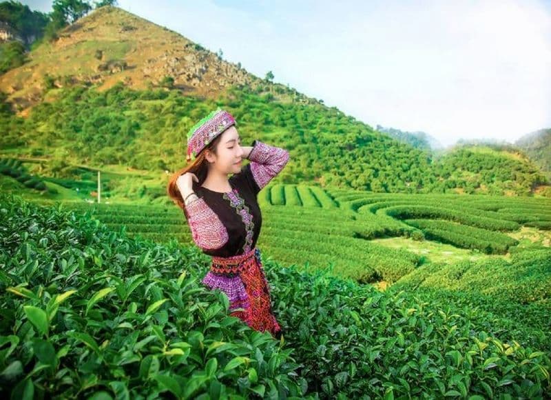 Đến với đồi chè bạn sẽ có những bức ảnh check in đẹp lung linh