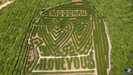 Những Địa Điểm Du Lịch Tại Mộc Châu Không Thể Bỏ Lỡ