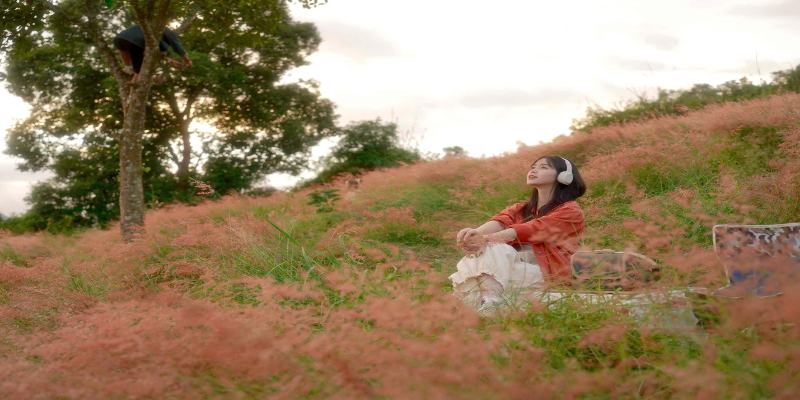 Ghé thăm đồi cỏ hồng lãng mạn, thơ mộng