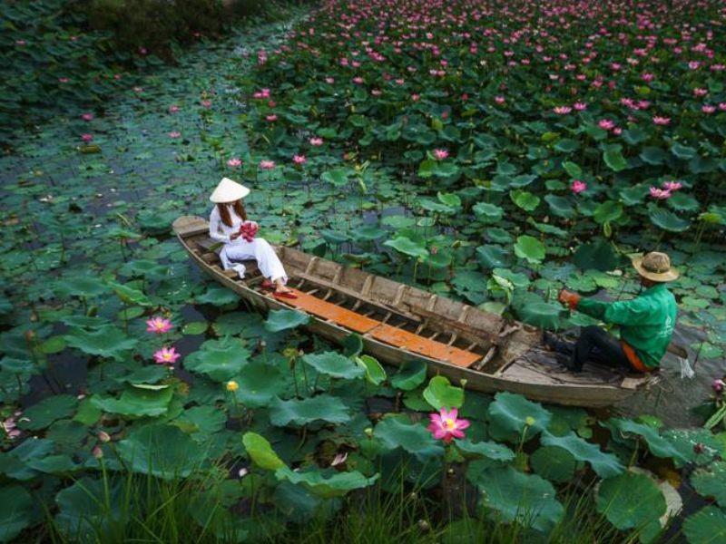 Tự lái ô tô hoặc thuê xe từ TP.HCM về đồng sen Tháp Mười