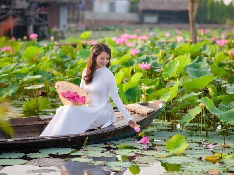 Chụp triệu bức hình tuyệt đẹp cùng hoa sen thanh khiết