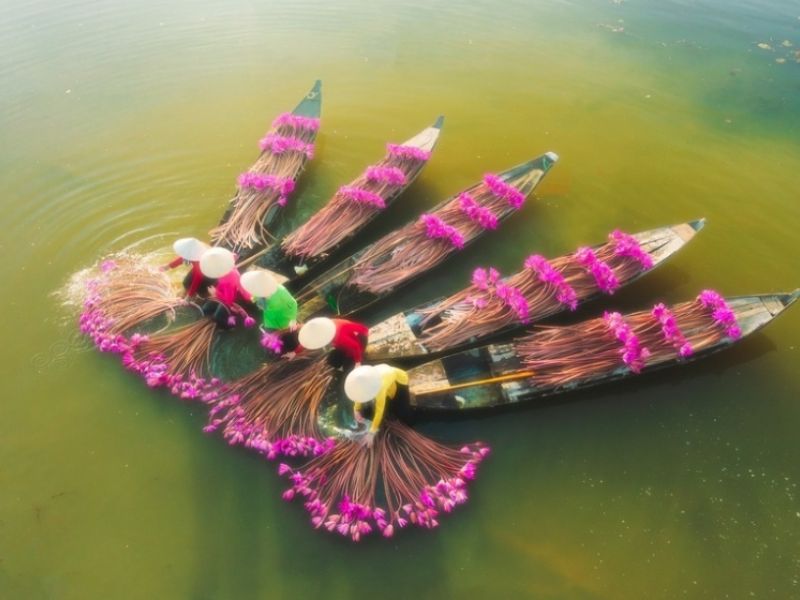 Trải nghiệm chèo xuồng hái sen thi vị