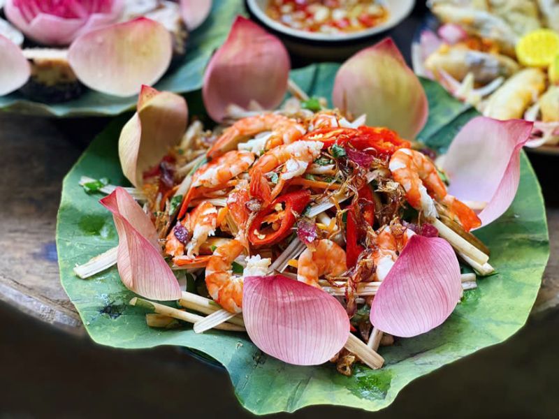 Khám phá rừng tràm và hệ sinh thái vùng đất ngập nước