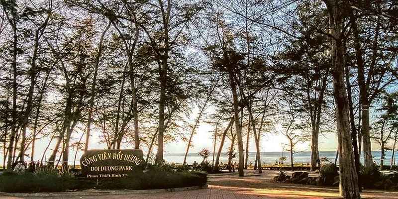 Công viên Đồi Dương mang đến cảm giác vừa lãng mạn vừa tự hào.