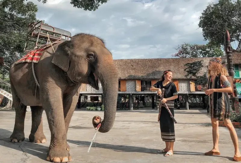 Du lịch Buôn Đôn là hành trình khó quên khi đến Tây Nguyên