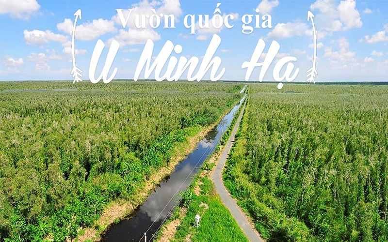 Du lịch Cà Mau 2 ngày 1 đêm tại rừng U Minh Hạ 