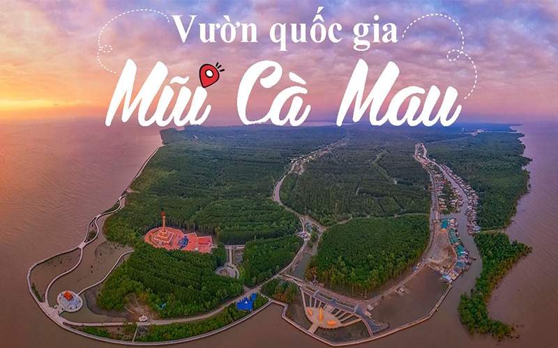 Khám phá Vườn quốc gia Mũi Cà Mau, nơi hệ sinh thái rừng ngập mặn độc đáo