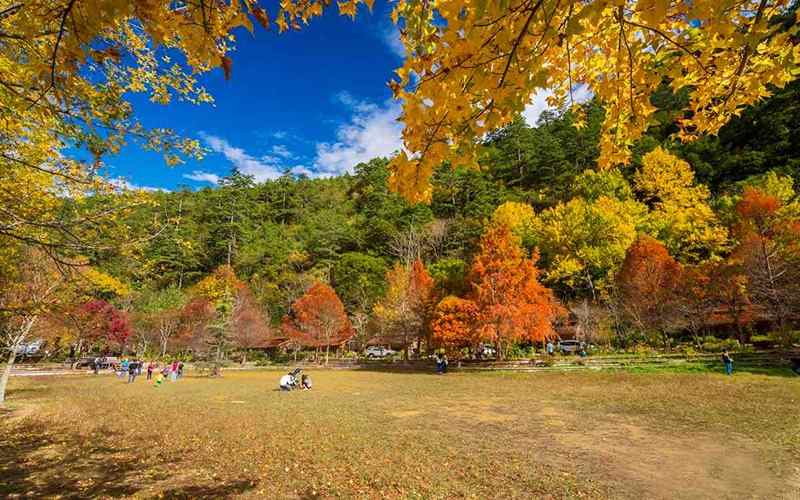Mùa thu nổi bật nhờ sự cân bằng giữa thời tiết dễ chịu và cảnh quan tuyệt đẹp