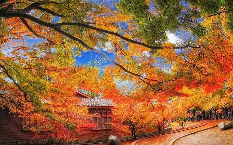 Du lịch Đài Loan mùa nào đẹp nhất để chuyến đi trọn vẹn