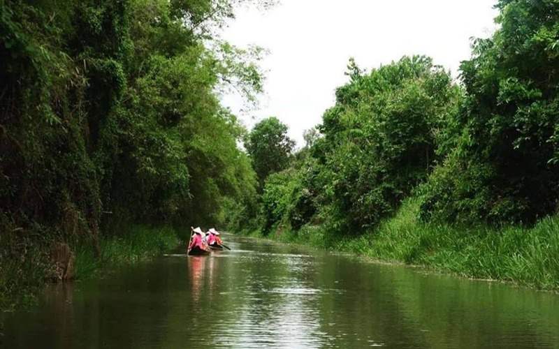 Khám phá rừng tràm Gáo Giồng ôm lấy những con kênh xanh biếc.
