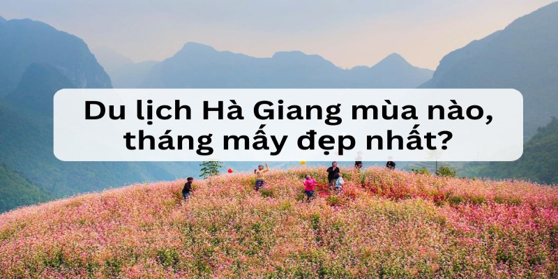 Mùa xuân Hà Giang là mùa của hoa nở