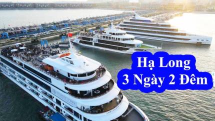 Du Lịch Hạ Long 3 Ngày 2 Đêm - Lịch Trình Chi Tiết Nhất