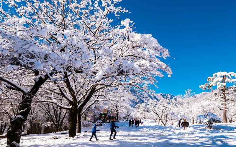 Mùa đông biến Hàn Quốc thành xứ sở tuyết trắng