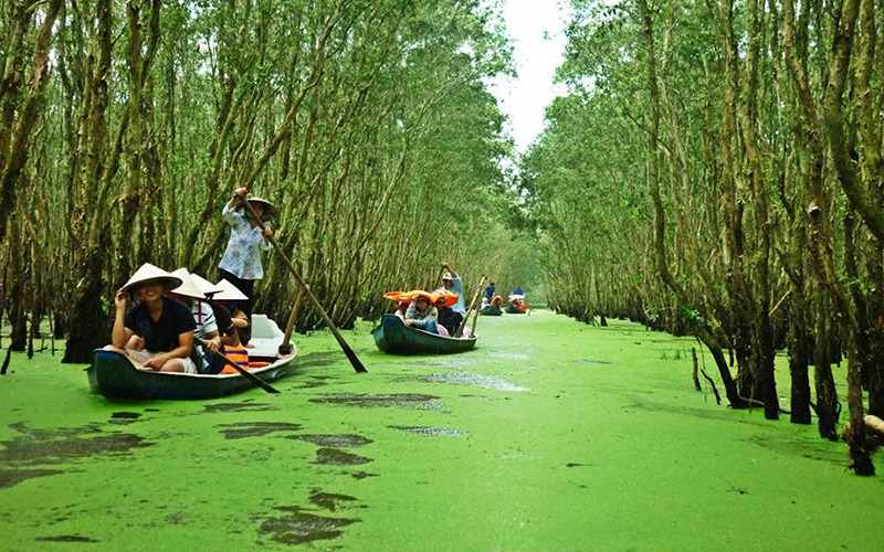 Rừng tràm Trà Sư là chốn tiên cảnh với thảm bèo xanh mướt