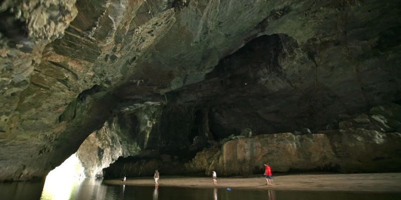 Bạn có thể trekking trong rừng nguyên sinh