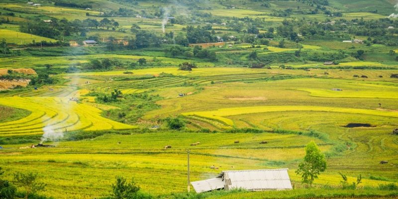 Đi du lịch Lai Châu 3 ngày 2 đêm vào tháng 9 đến tháng 11 mùa lúa chín