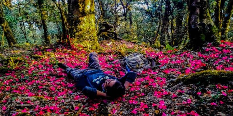 Mùa xuân tại Lai Châu sắc hoa rực rỡ