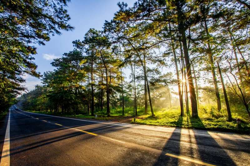 3. Cách di chuyển đến Măng Đen