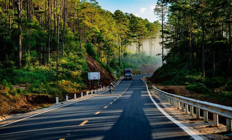 Rừng thông Măng Đen