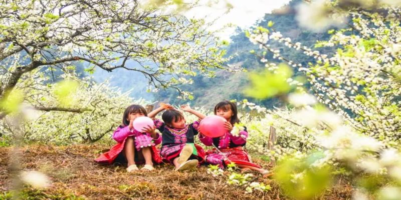 Những ai yêu thích văn hóa dân tộc và thiên nhiên nên đi du lịch miền Bắc