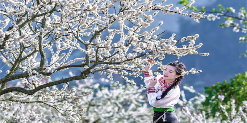 Thời điểm nên du lịch Mộc Châu 2 ngày 1 đêm