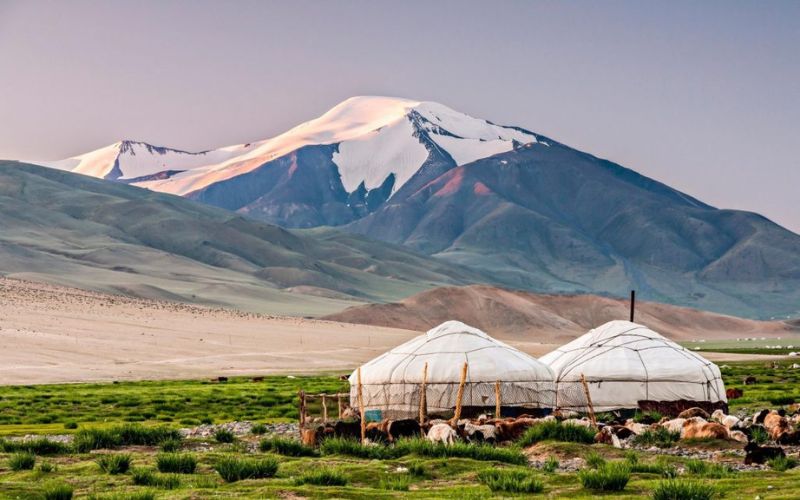 Đi du lịch Mông Cổ dưới 30 ngày không cần visa