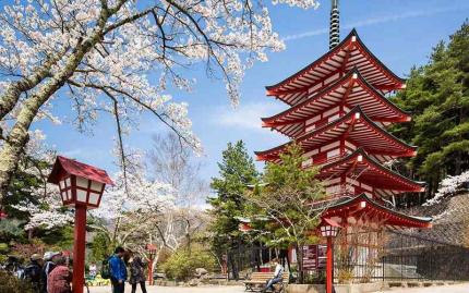 Du Lịch Nhật Bản Mùa Nào Đẹp Nhất Tại Xứ Sở Hoa Anh Đào