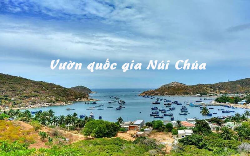 Du khách đắm chìm trong vườn quốc gia Núi Chúa - Ninh Thuận