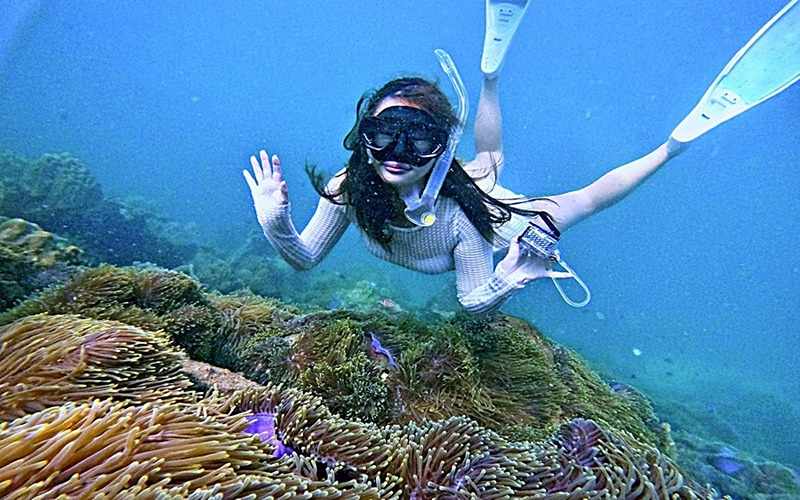 Lặn biển ngắm san hô tại Phú Quốc