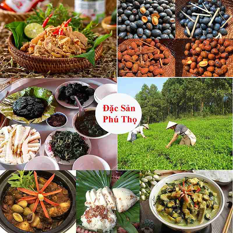 Các món đặc sản Phú Thọ đều mang đậm hương vị vùng miền
