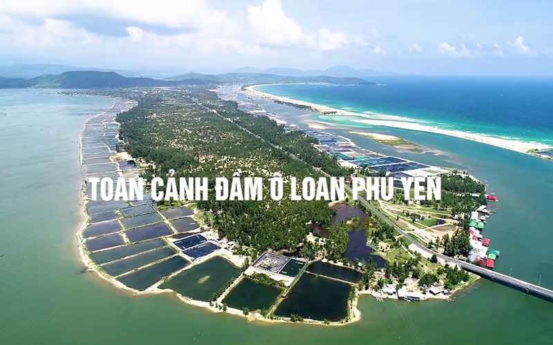 Đầm Ô Loan một trong những đầm nước lợ đẹp nhất Việt Nam.