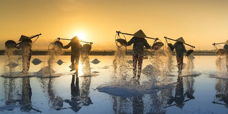 Du lịch Quảng Ngãi mùa khô để trải nghiệm mọi hoạt động thú vị