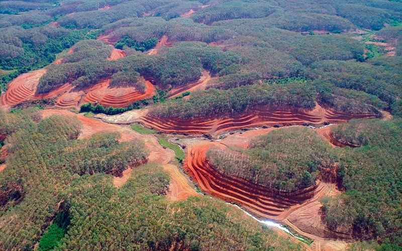 Đồi Chư H’răng rừng thông xanh mướt, không khí mát lành