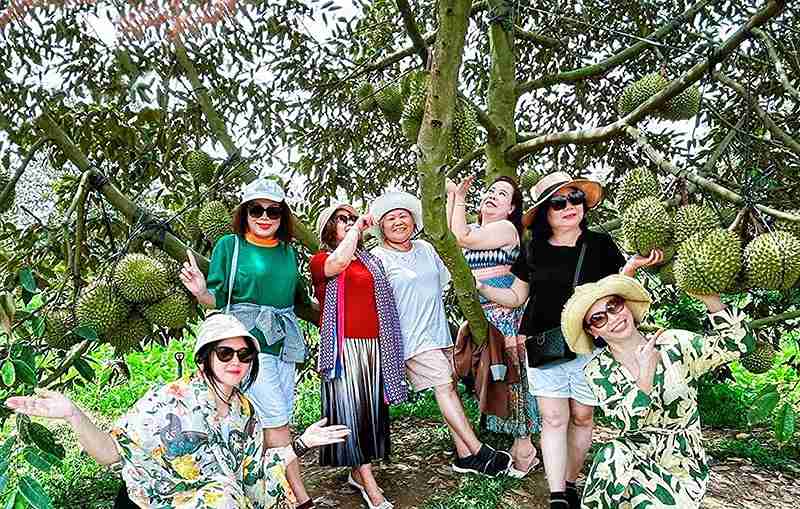Du Lịch Vườn Trái Cây Tiền Giang: Top 6 Thiên Đường Cây Trái