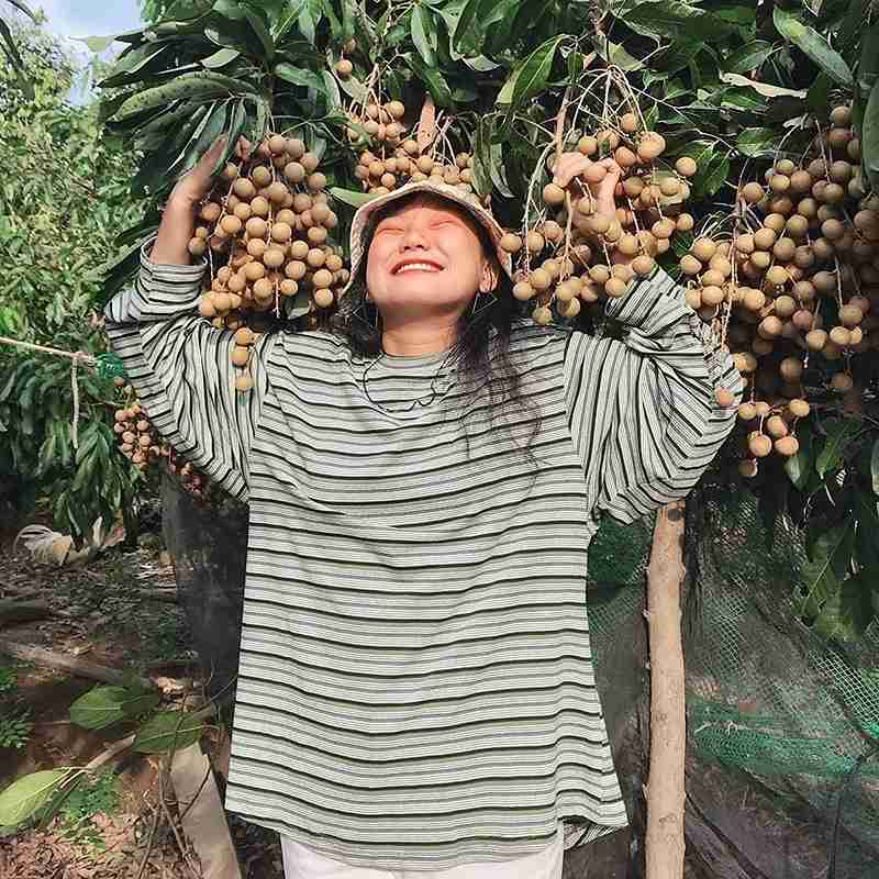 Vườn trái cây Đinh Văn Sơn là điểm đến lý tưởng cho gia đình. 