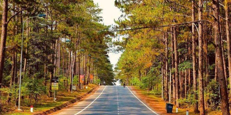 Đường đi đến thác Pa Sỹ sở hữu phong cảnh tuyệt đẹp