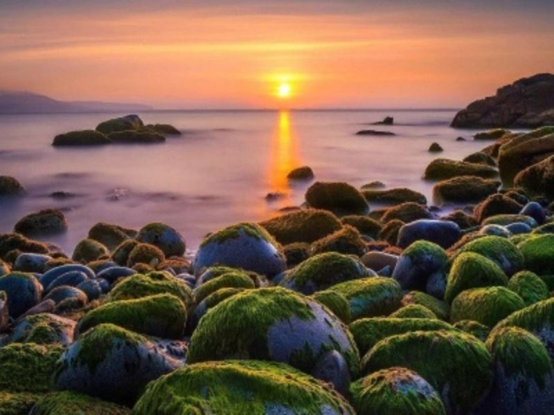 Chia sẻ cách di chuyển tới Ghềnh Ráng đơn giản và dễ hiểu