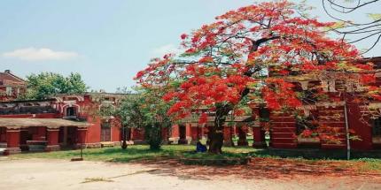 Trường Quốc Học Huế - Vẻ Đẹp Lịch Sử Đậm Chất Trời Âu