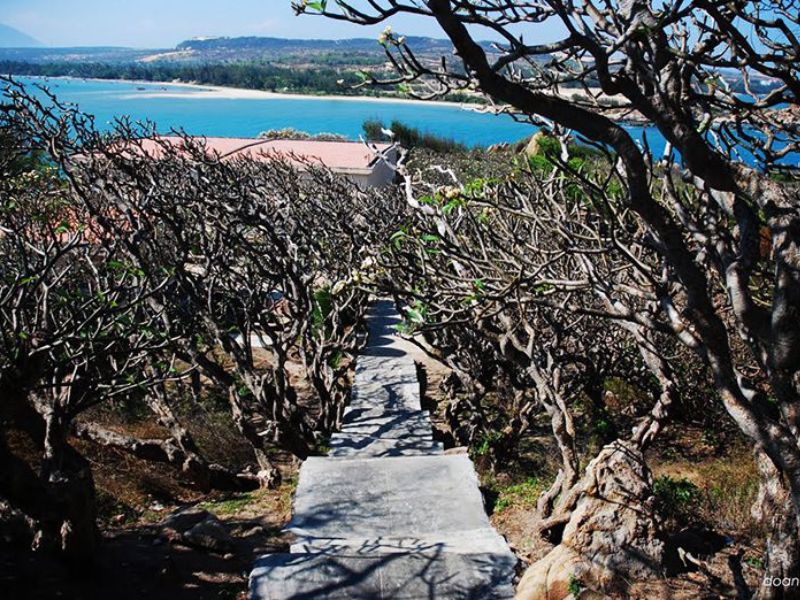 Chiêm ngưỡng vẻ đẹp của hàng sứ trăm tuổi