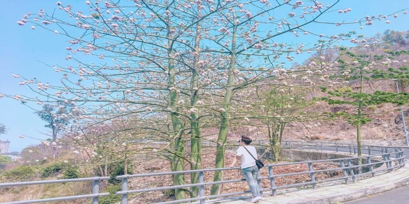 Tới hải đăng vào tháng giữa để săn ảnh đẹp